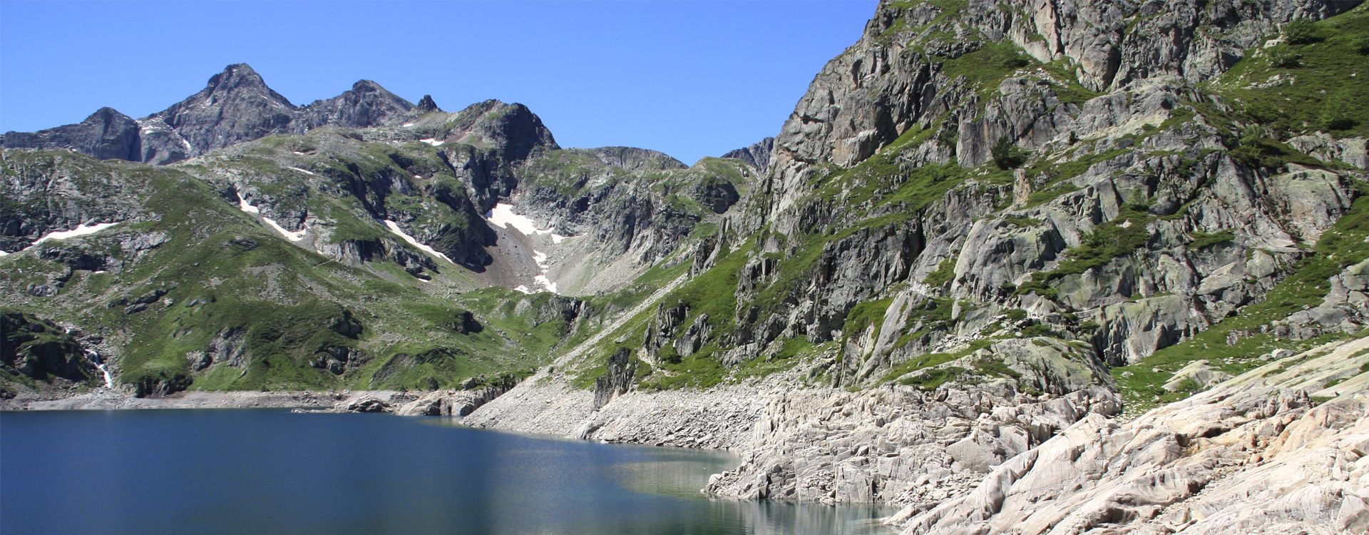 Entomologie, Insectes, Pyrénées, Arthropodes, Sud-ouest, France