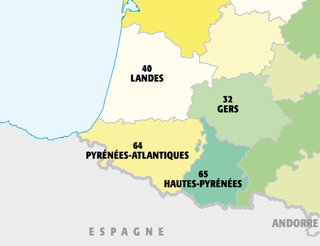 Entomologie, Insectes, Pyrénées, Arthropodes, Sud-ouest, France